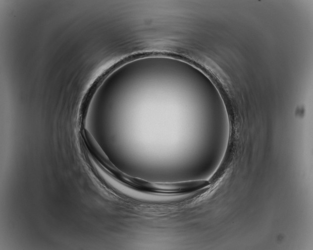 X0000098121077200804041402