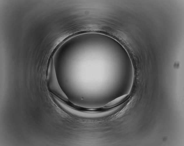 X0000098121081200804041402