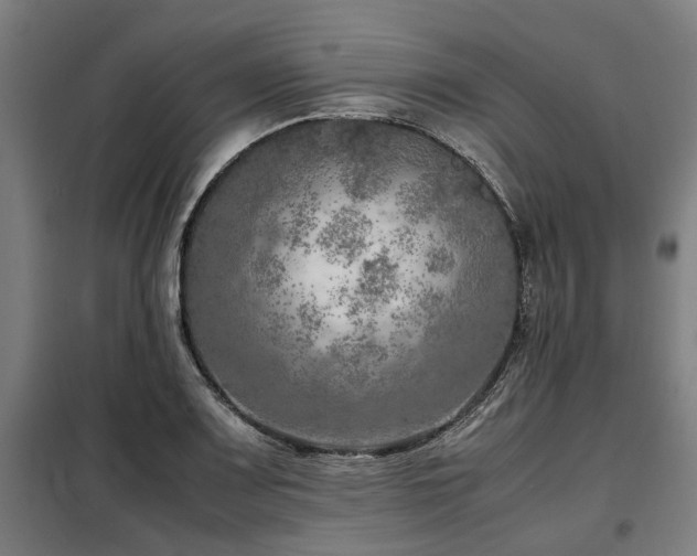 X0000098121083200804041402