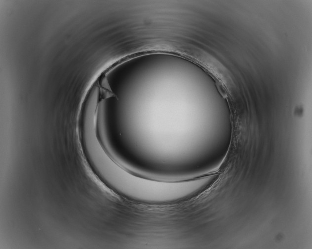 X0000098121084200804041402