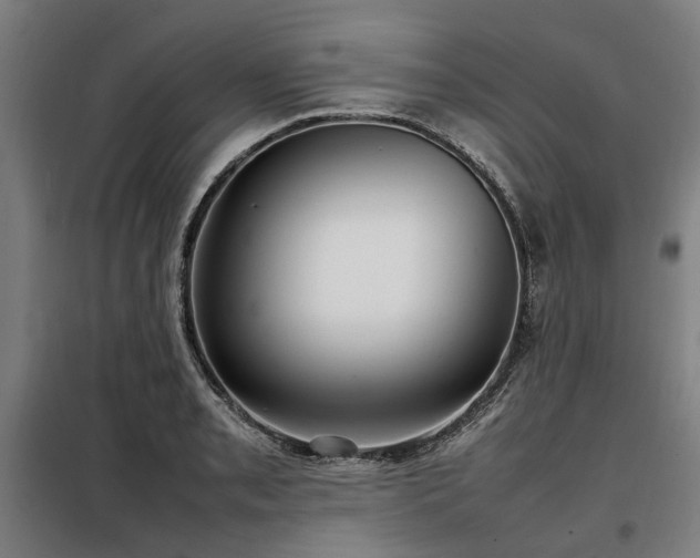 X0000098121085200804041402