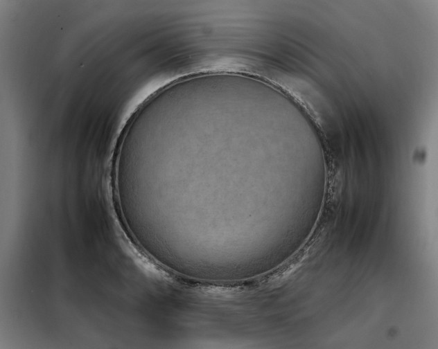 X0000098121086200804041402