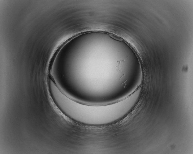 X0000098121088200804041402