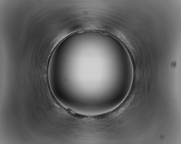 X0000098121089200804041402