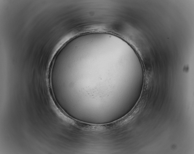 X0000098121090200804041402