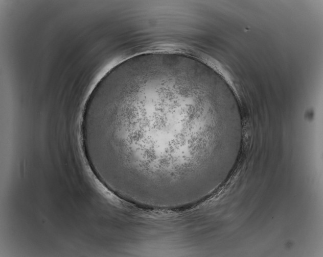 X0000098121091200804041402