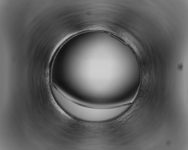 X0000098121092200804041402