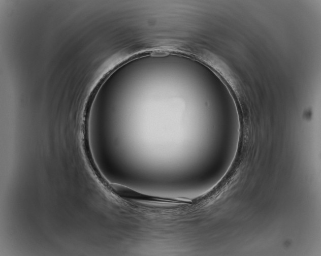X0000098121093200804041402