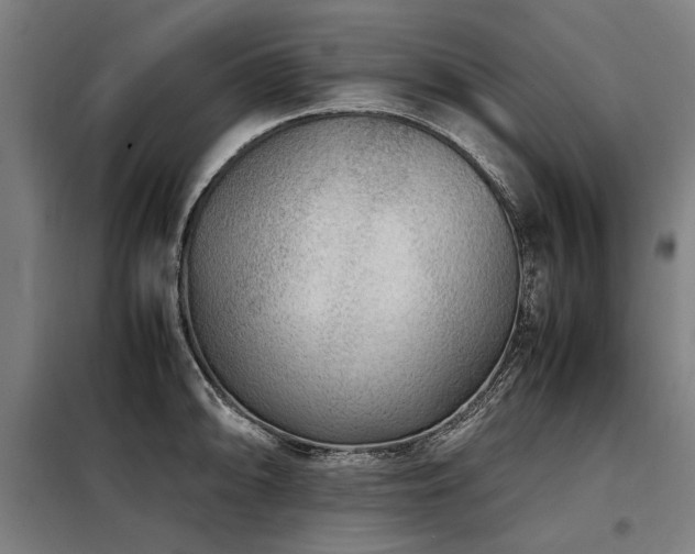 X0000098121094200804041402
