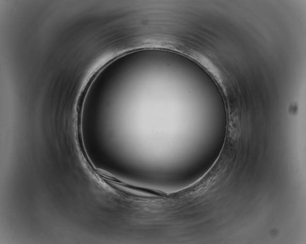 X0000098121096200804041402