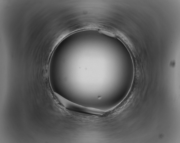 X0000098121097200804041402