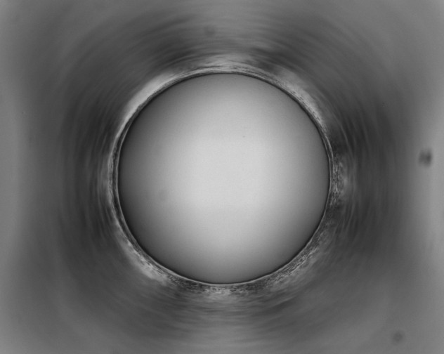 X0000098121098200804041402