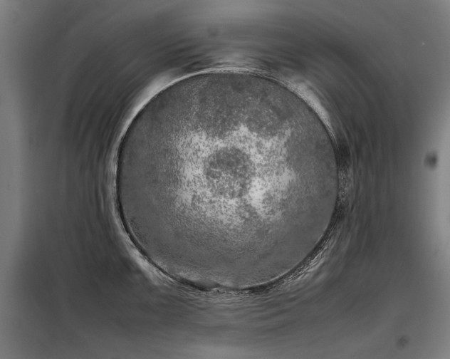 X0000098121099200804041402