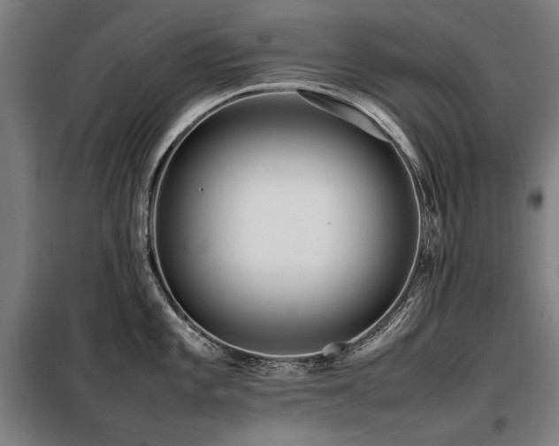 X0000098121101200804041402