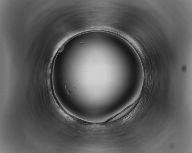 X0000098121102200804041402