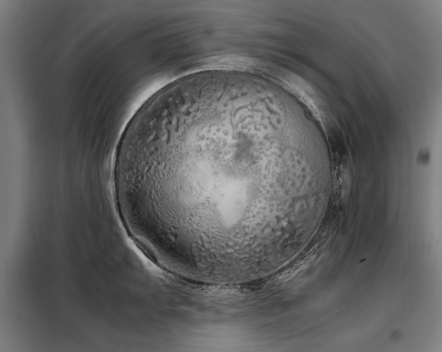 X0000098121103200804041402