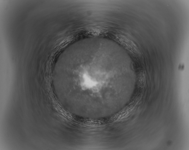 X0000098121105200804041401