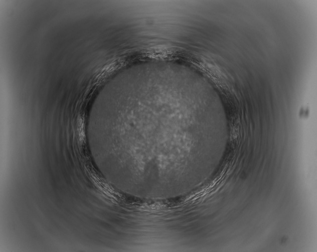 X0000098121106200804041401