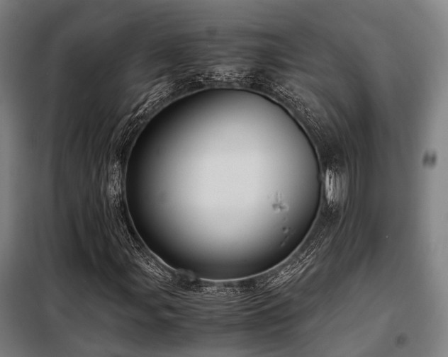 X0000098121107200804041401