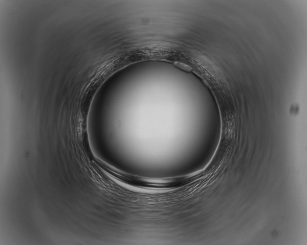 X0000098121108200804041401