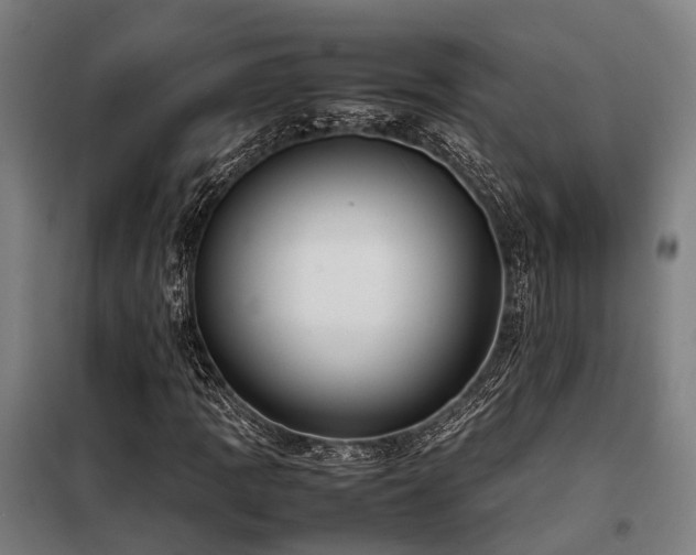 X0000098121109200804041401