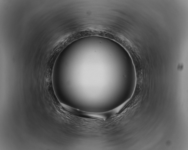 X0000098121110200804041401