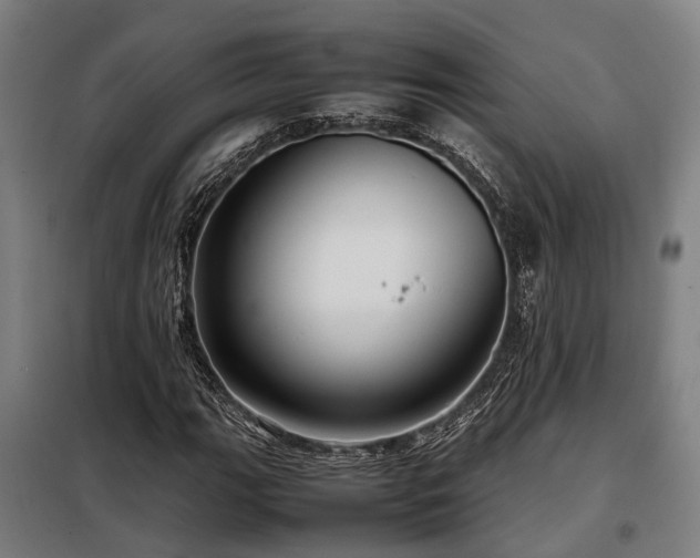 X0000098121111200804041401