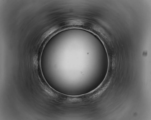 X0000098121113200804041401