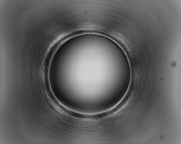 X0000098121114200804041401