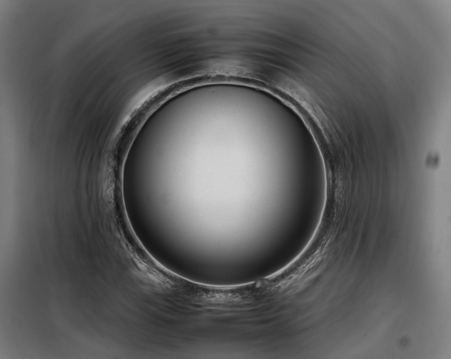 X0000098121115200804041401