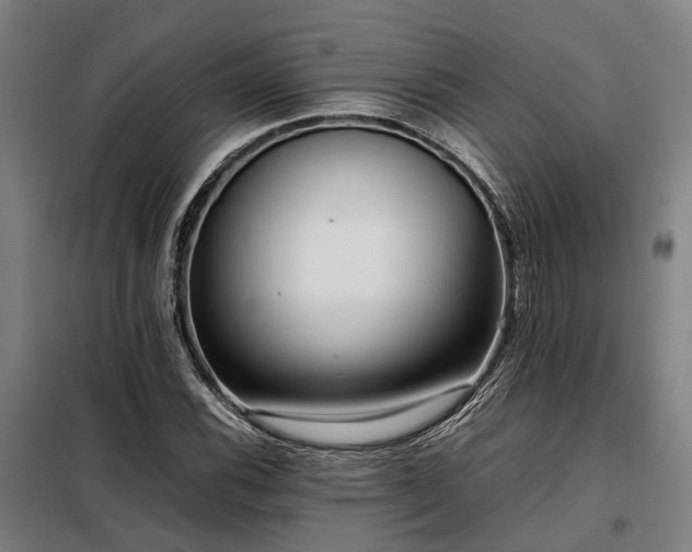 X0000098121116200804041401