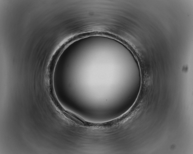 X0000098121118200804041401