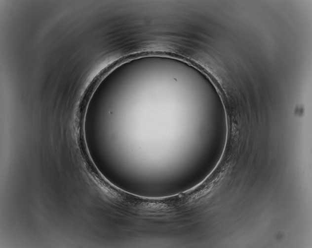 X0000098121119200804041401