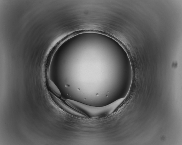 X0000098121120200804041401