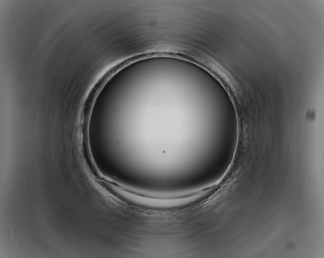 X0000098121124200804041402