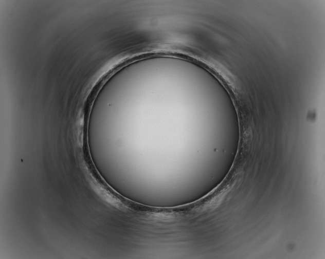 X0000098121126200804041402