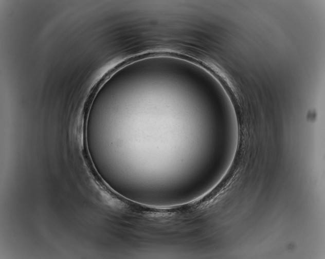 X0000098121127200804041402