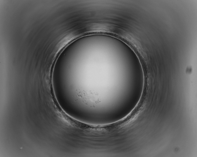 X0000098121129200804041402