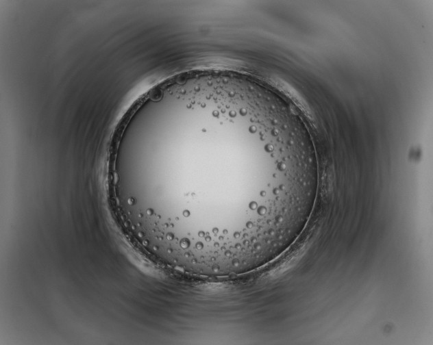 X0000098121130200804041402