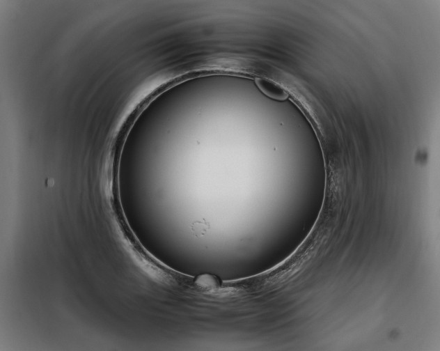X0000098121131200804041402