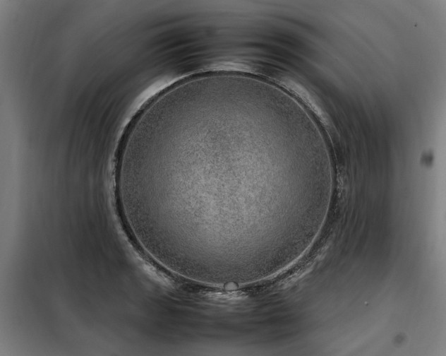 X0000098121133200804041402