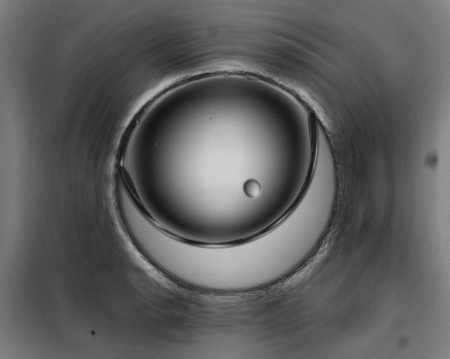 X0000098121134200804041402