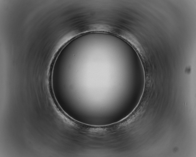 X0000098121135200804041402