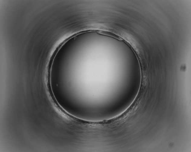 X0000098121136200804041402