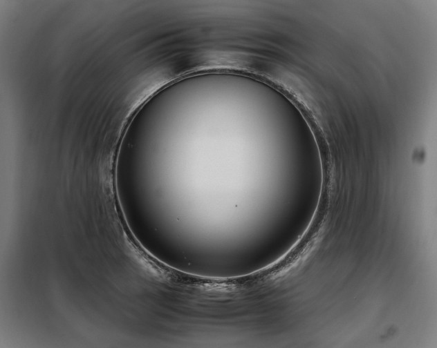X0000098121137200804041402