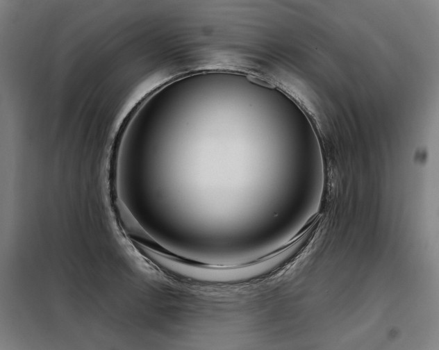 X0000098121138200804041402