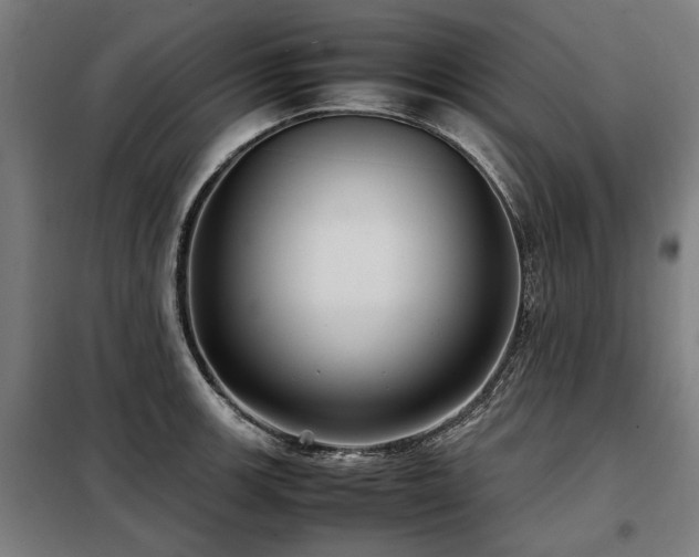X0000098121139200804041402