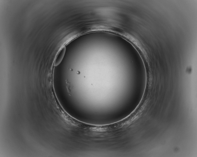 X0000098121145200804041402