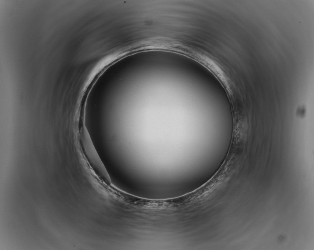X0000098121146200804041402
