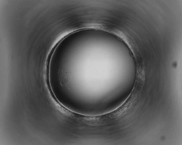 X0000098121147200804041402